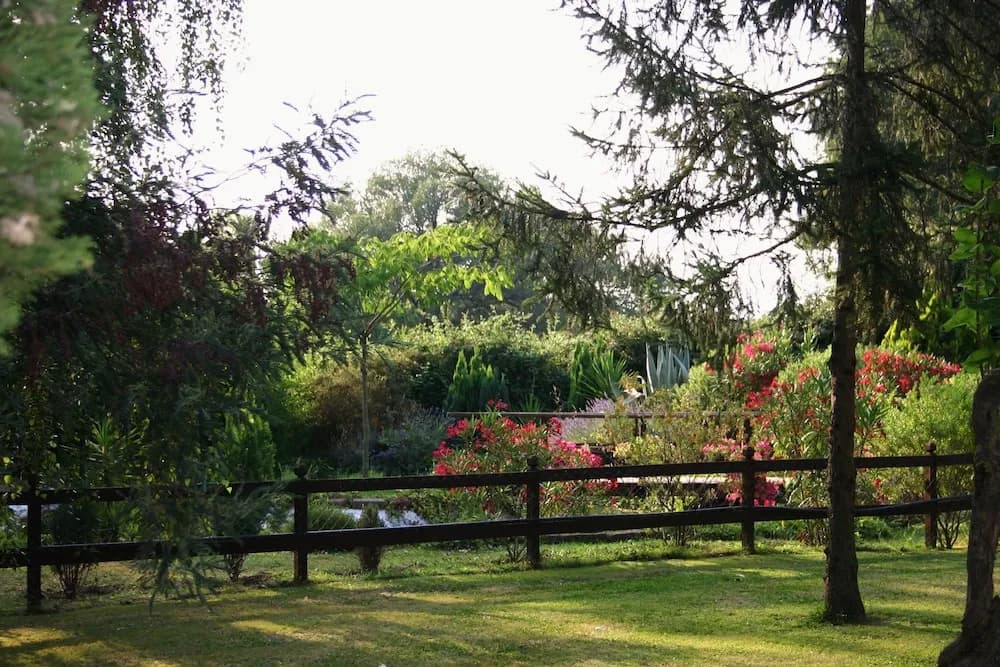 Green Oasis B&B - photo 17