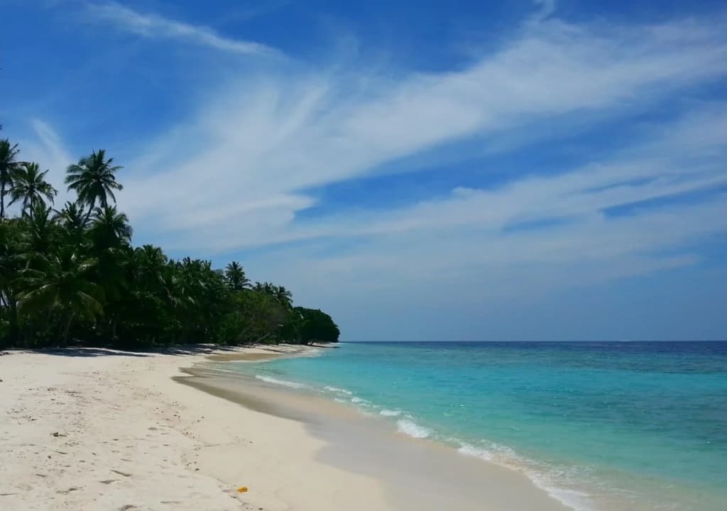 Hiyaa Ilaa - photo 36