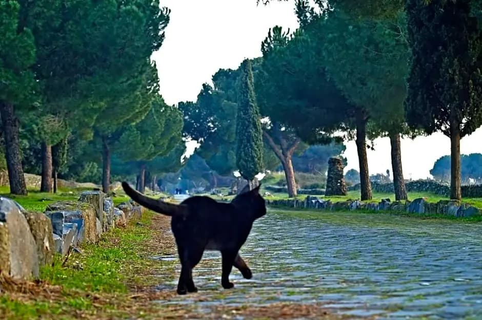 B&B Appia Felis - photo 3
