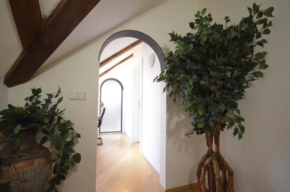 Attic Hroznova - Charles Bridge - photo 10