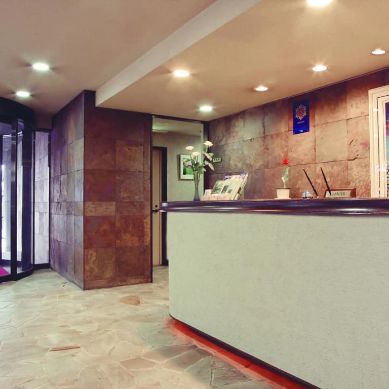 Kumegawa Wing Hotel - photo 32