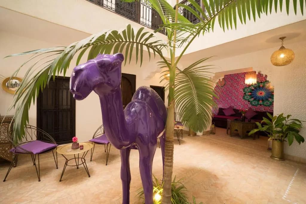 Riad Houdou - photo 13