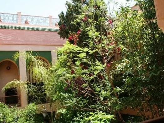 Riad Zouina - photo 9