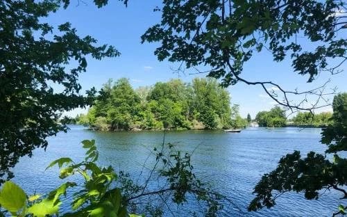 Park Penthouses Insel Eiswerder - photo 32