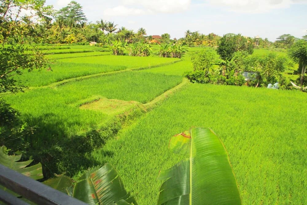 Panorama Ubud Private Villa - photo 15