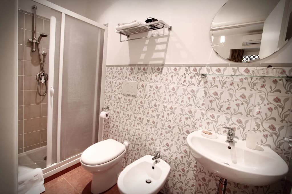 Domus Flaviae - photo 8