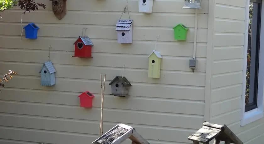 Bed&Breakfast de Noordeling - photo 5