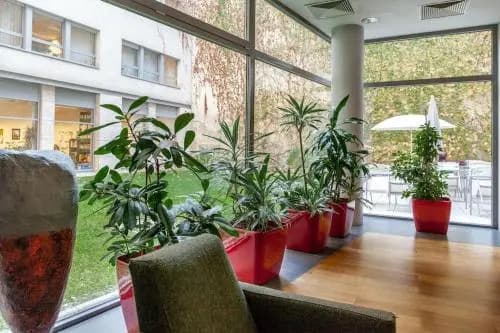 City Heart Wellness Apartment - photo 2