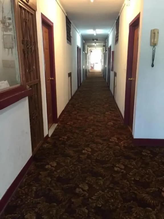 Hollywood Roxy Hotel - photo 16