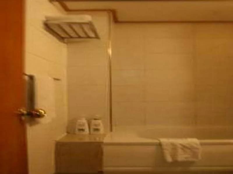 New Regent Hotel(뉴 리젠트 호텔) - photo 5