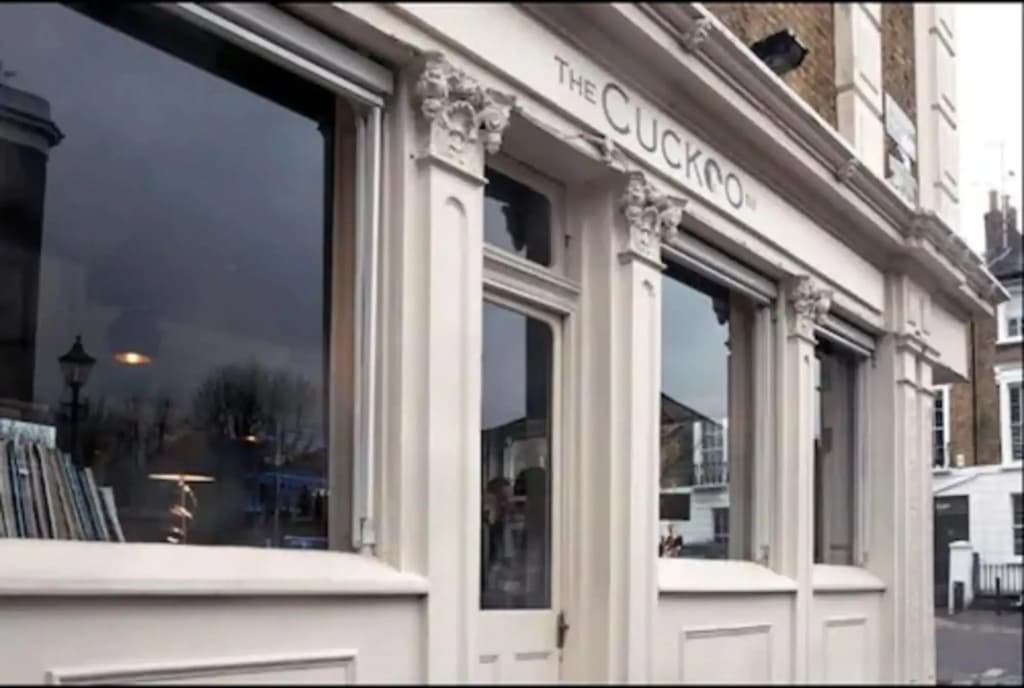 The Cuckoo N1 - photo 7