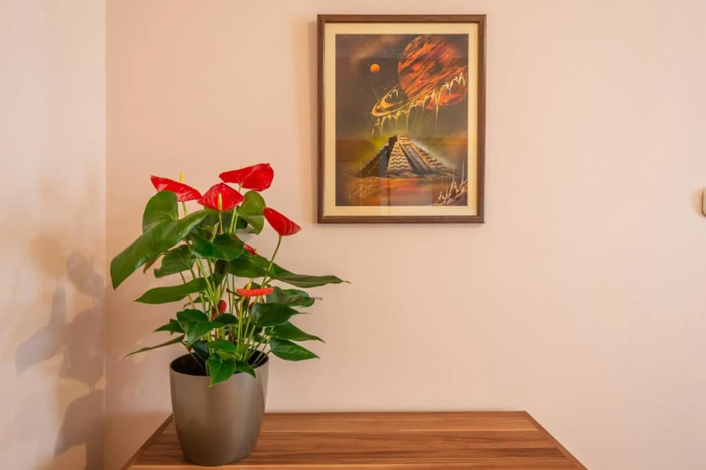 Santos 1214 Apartment - photo 16