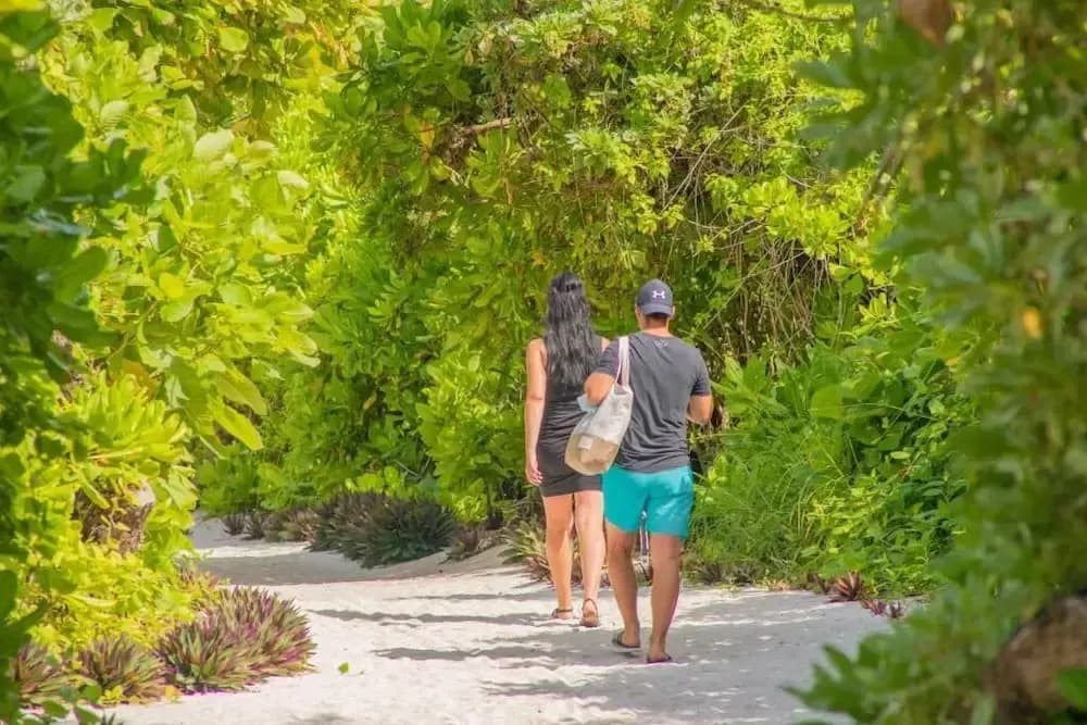 Hi Heaven Maldives - photo 23