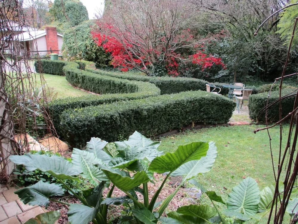 Dandenong Ranges Cottages - photo 13