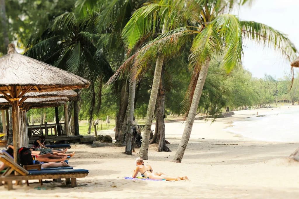 White Lotus Resort - photo 15