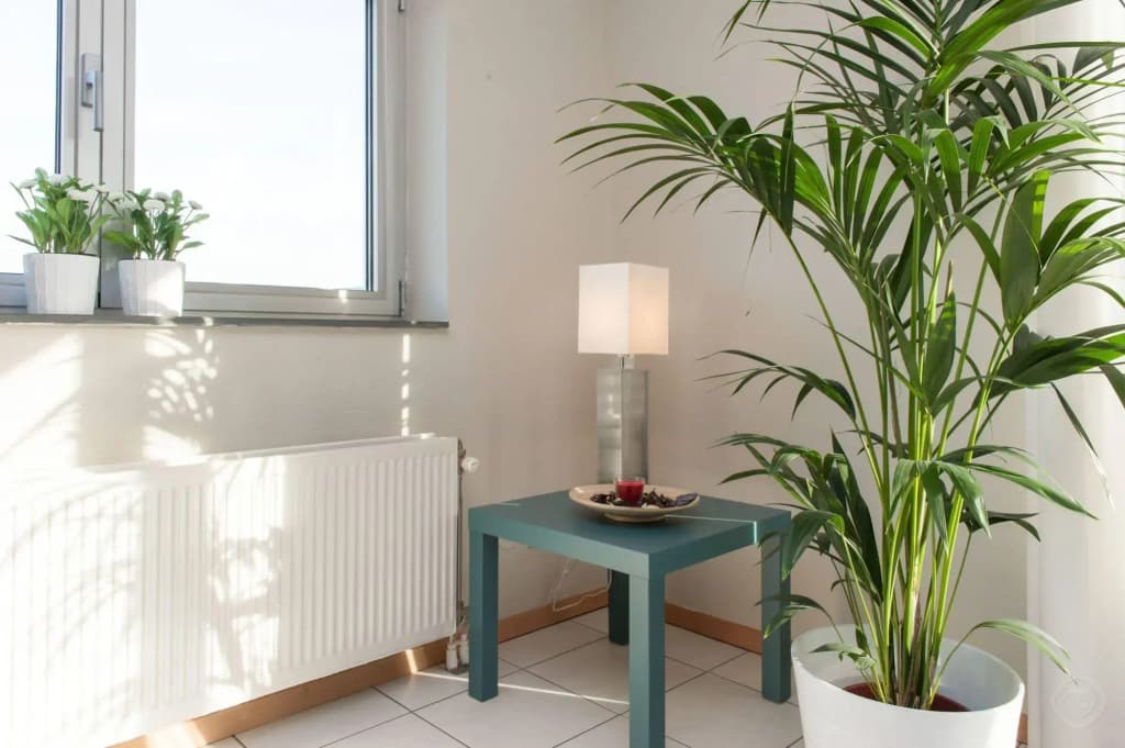 Arena Suite Apartment - photo 9