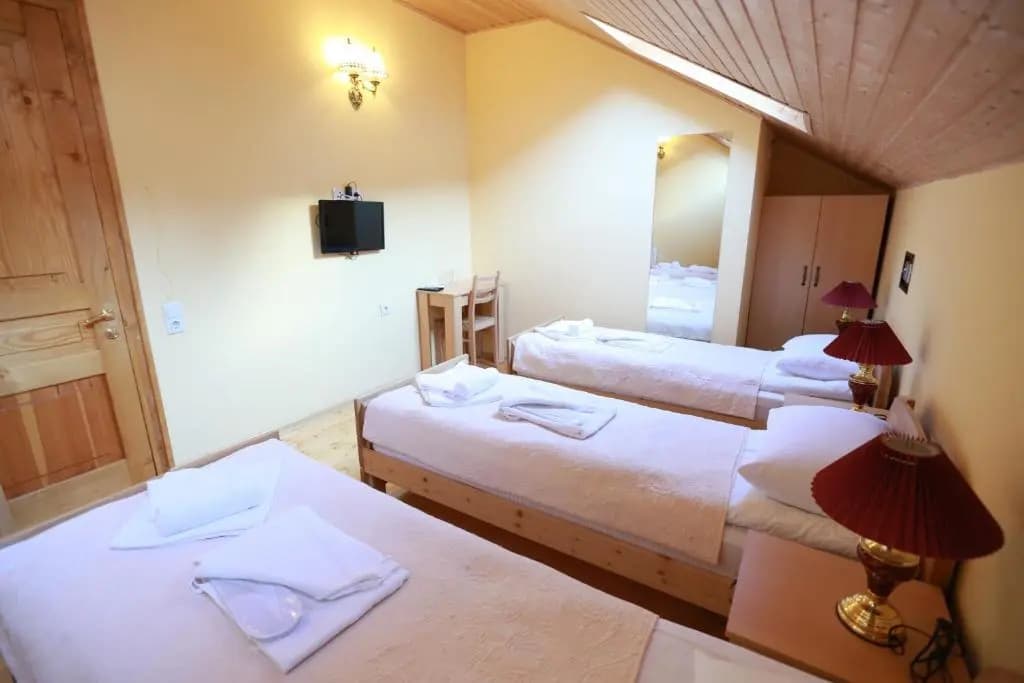 Guest House Goari - photo 3