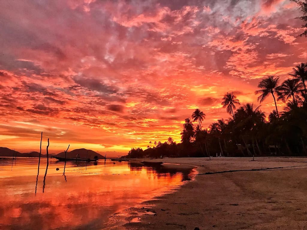 Samui Caravans Beach Camp - photo 12
