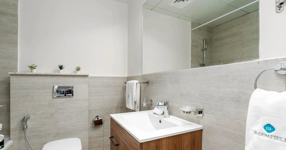 Deluxe 1 BR in Oasis - 43 - photo 9