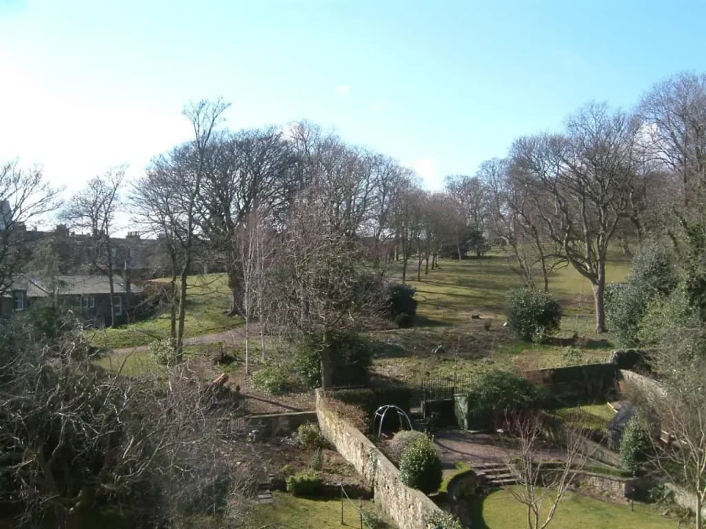Terrace Hotel - photo 24