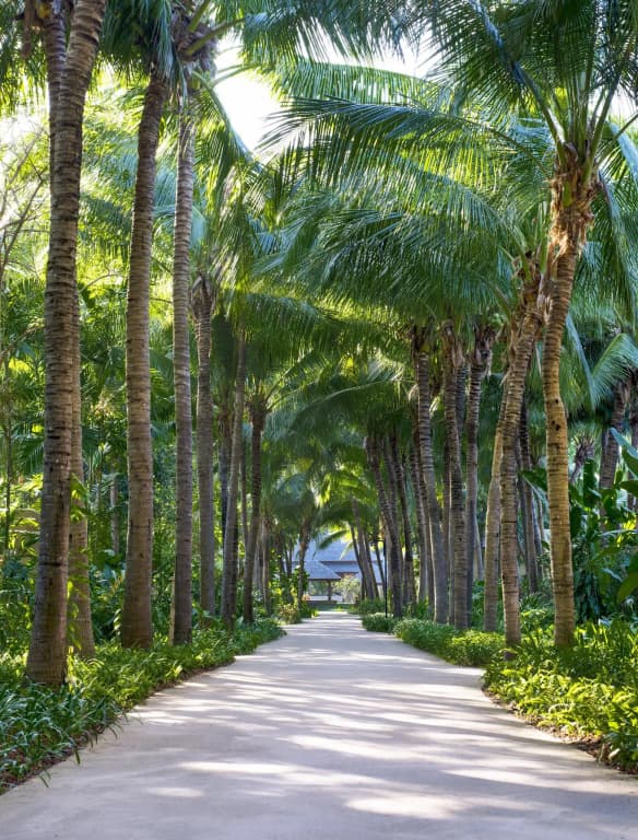 Sheraton Hua Hin Resort And Spa Hotel - photo 16
