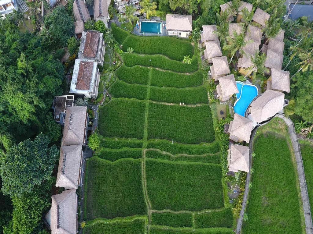 Biyukukung Suites & Spa - photo 18