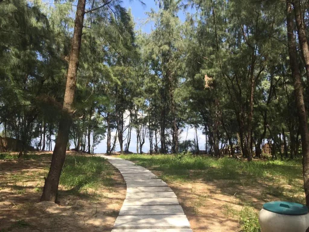 Sol An Bang Beach Resort & Spa - photo 16