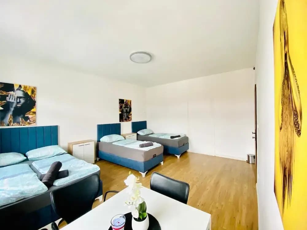 Spacious 4BR for 15 & 15 Min to Danube - photo 26