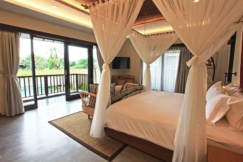 Elite Cassia - photo 6