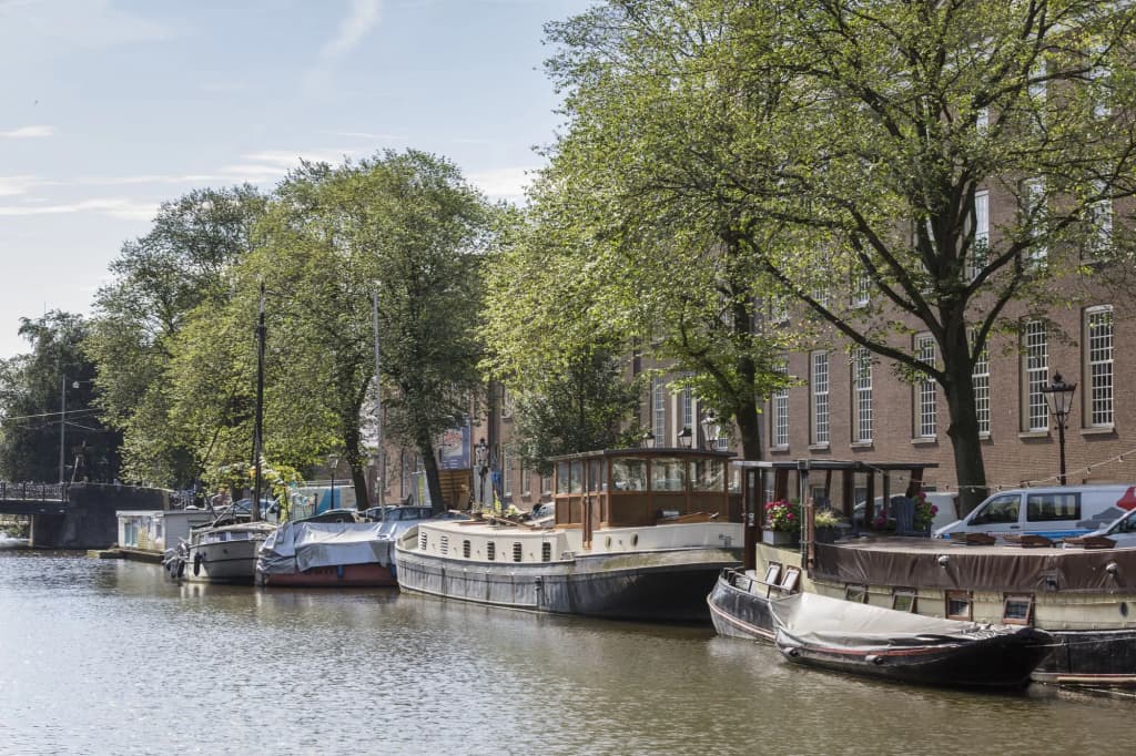 Wittenberg by Cove - photo 19