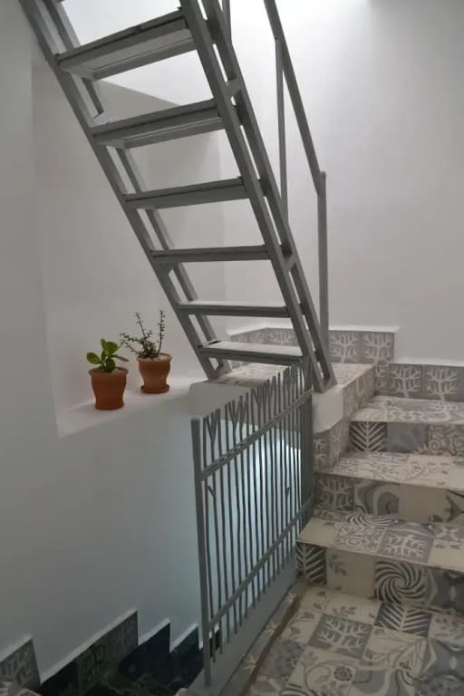 Riad Zarka - photo 12