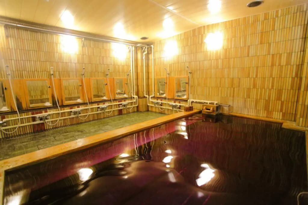 Hotel Marutani - photo 12
