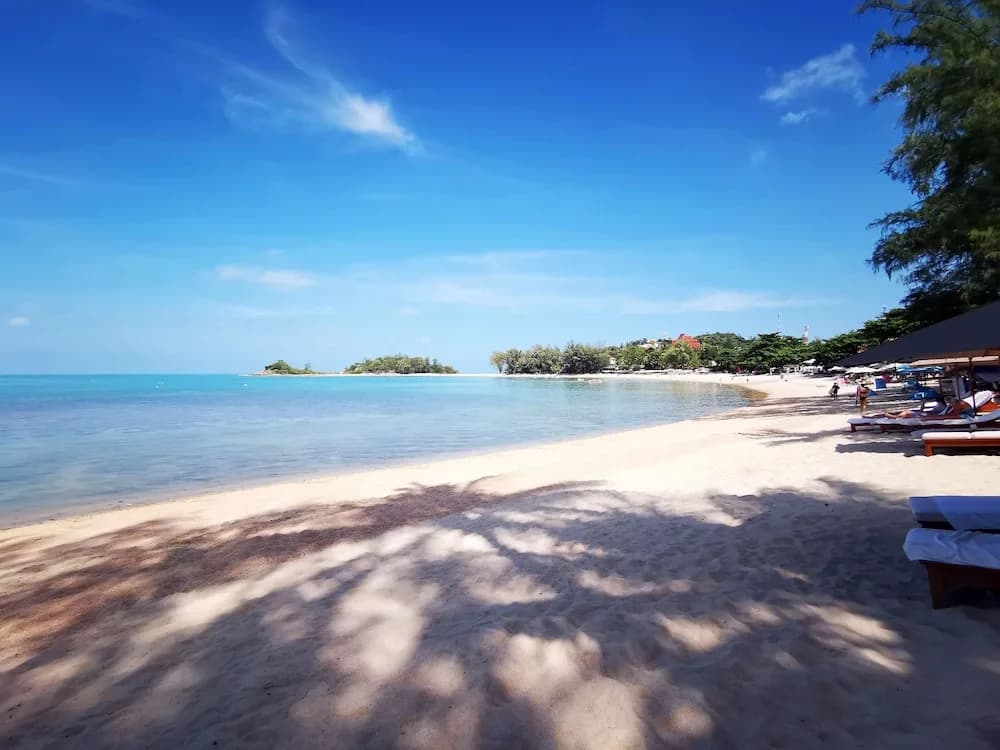 Hi Samui Hostel - photo 25