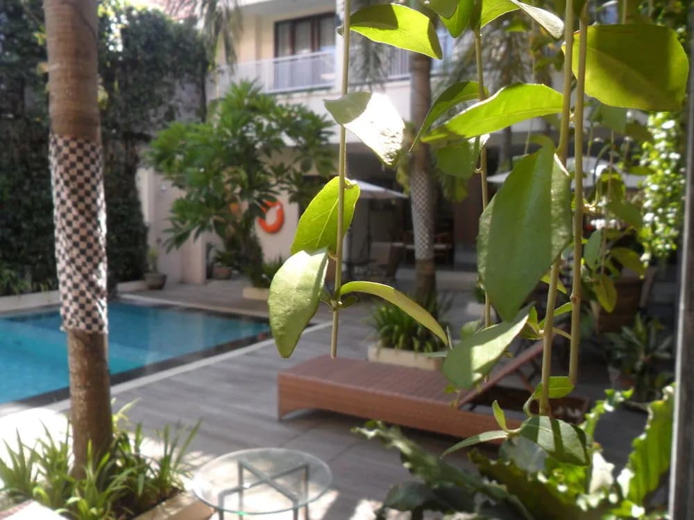 ViHan Suites - photo 21