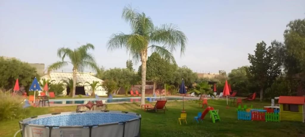 Las Palmeras - photo 25