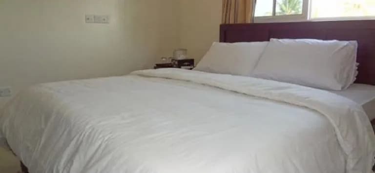 Airport Alba Inn - photo 4