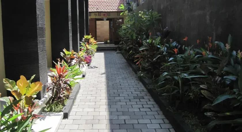 Kupu Kupu 39 - photo 5