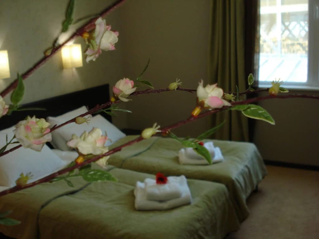 D'Plaza Hotel - photo 4