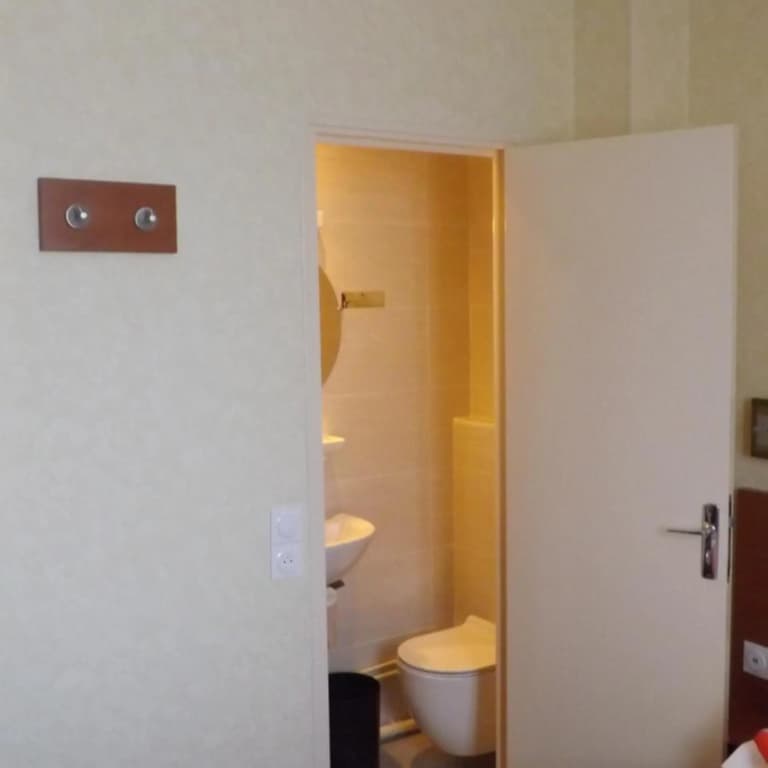 Hôtel de la Place des Alpes - photo 21