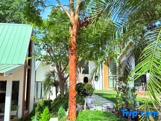 Lanta Forest Resort&Villas - photo 16