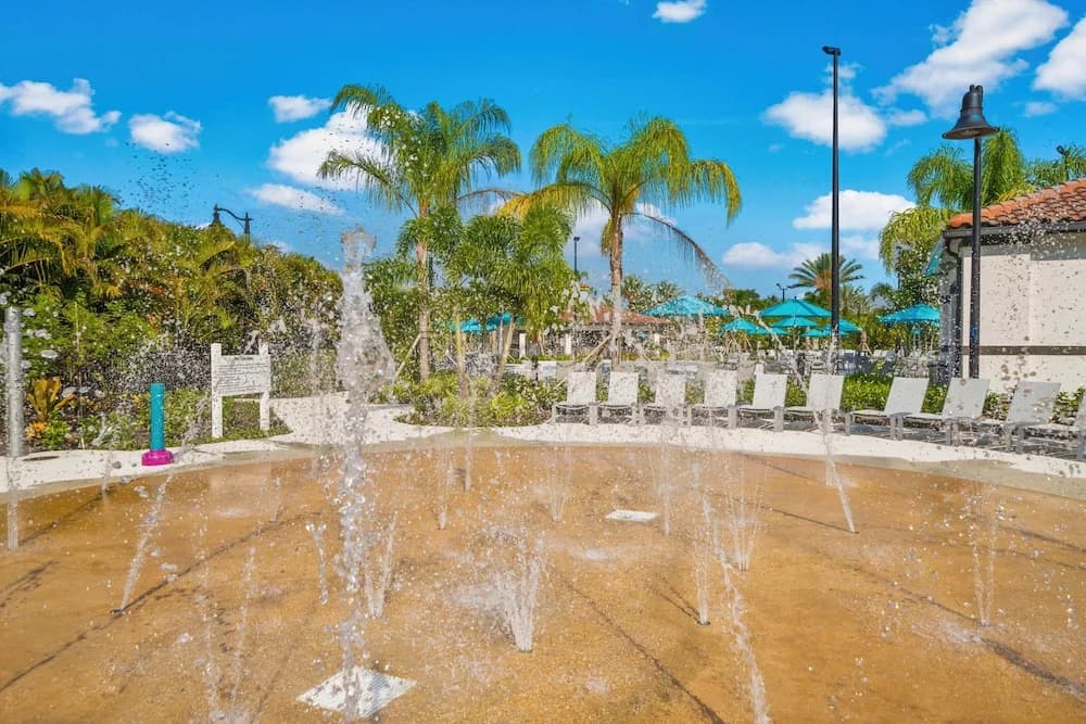Amazing Orlando - photo 21