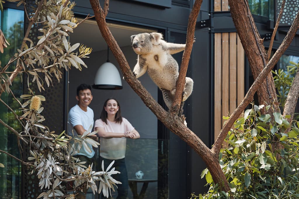 Wildlife Retreat at Taronga - photo 5
