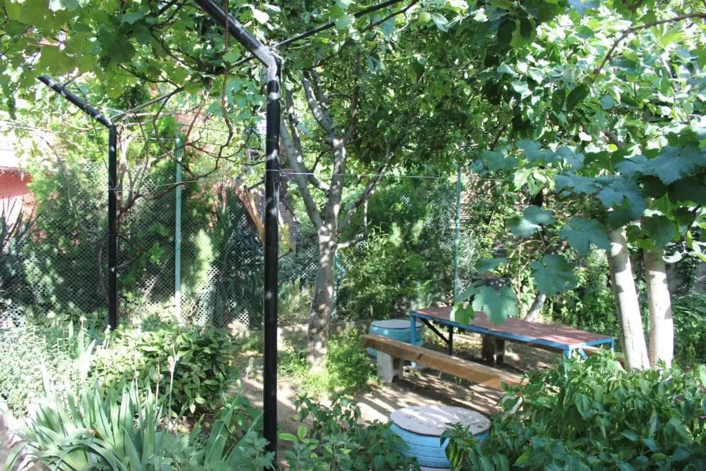 Hotel Panafi - photo 21