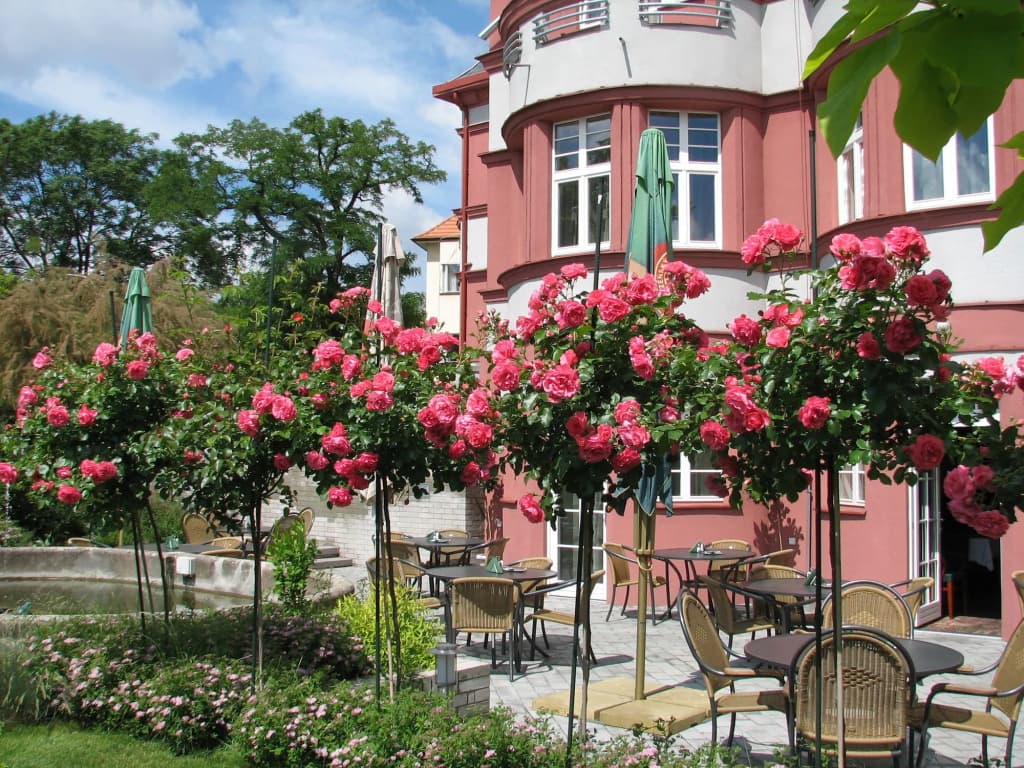 Hotel Villa - photo 17