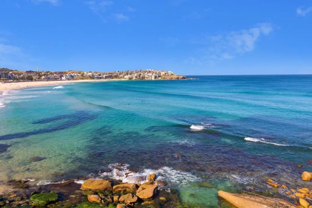 Little Drifter Bondi Beach - photo 14