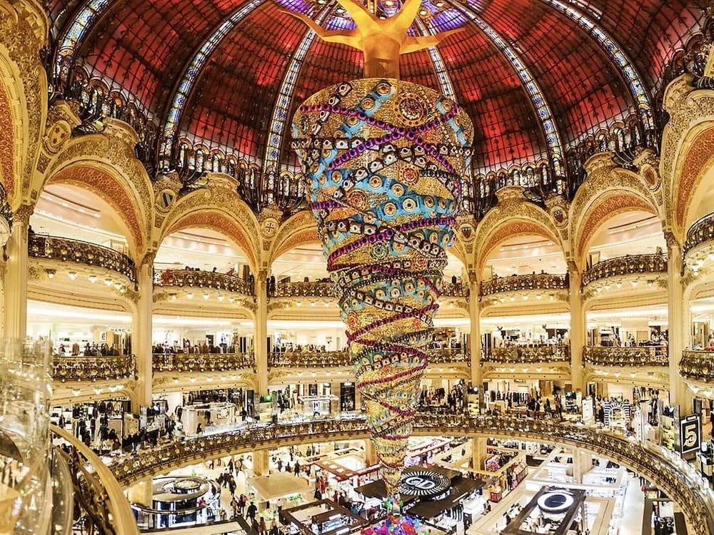 Cocoon Loft - Champs-Elysées - photo 15