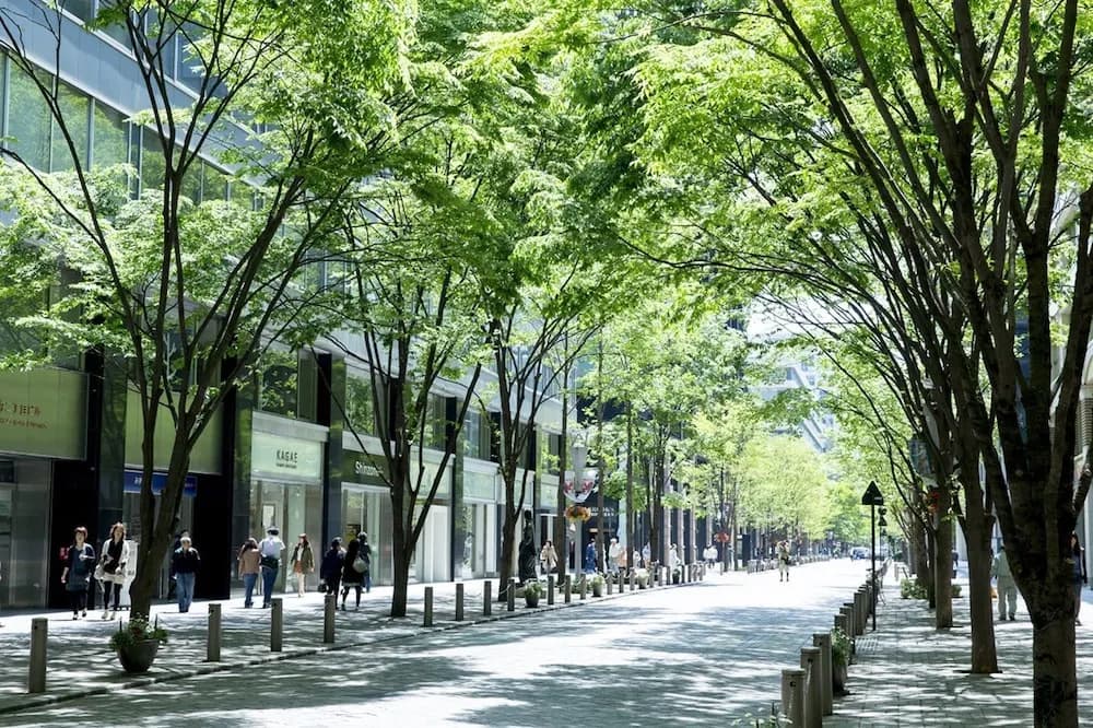 Tokyo Station Gallery - photo 41
