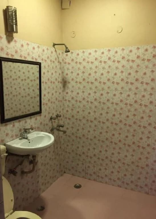 Ashu Villa Guest House - photo 9