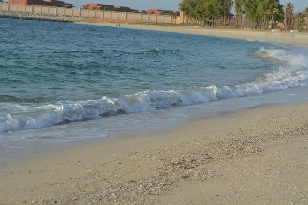 Al Jazira Hotel and Resort - photo 12