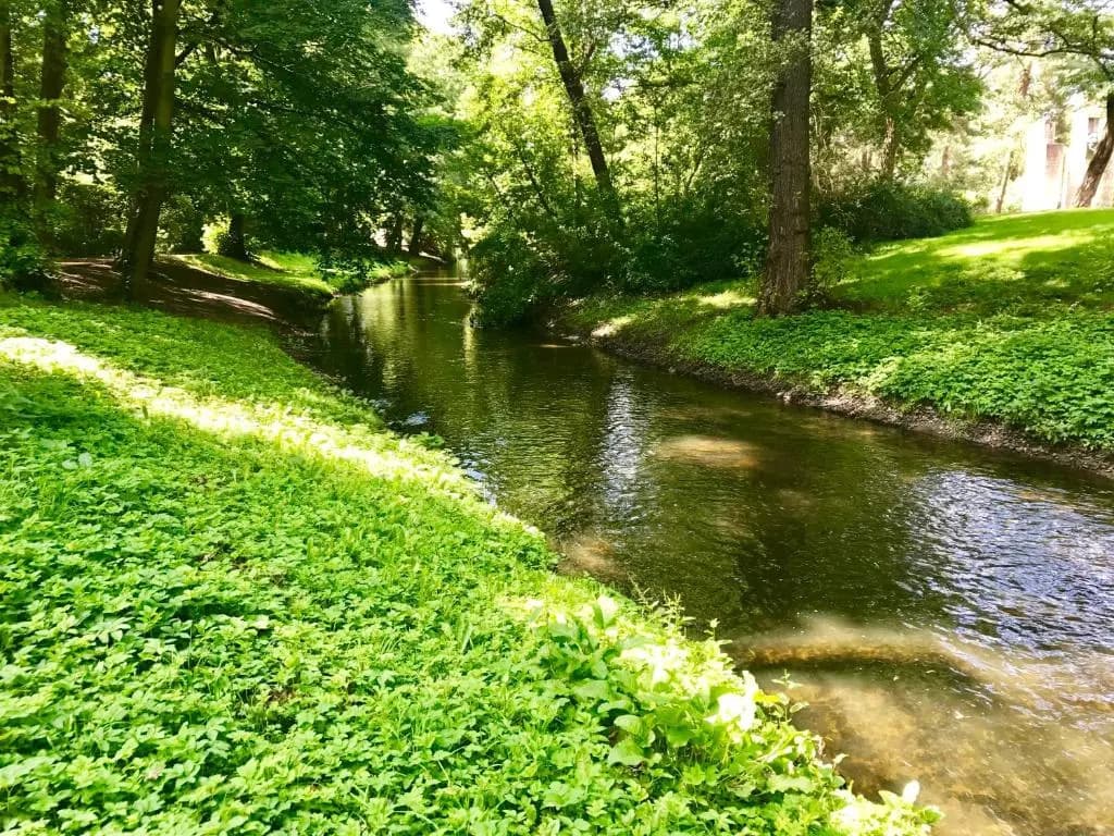 Bürgerpark Apartments - photo 15